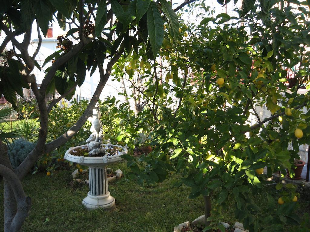 Apartment Zvonar Donji Okrug  Екстер'єр фото